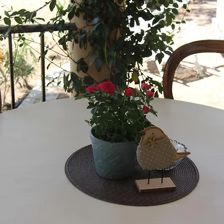 A Domo אולביה