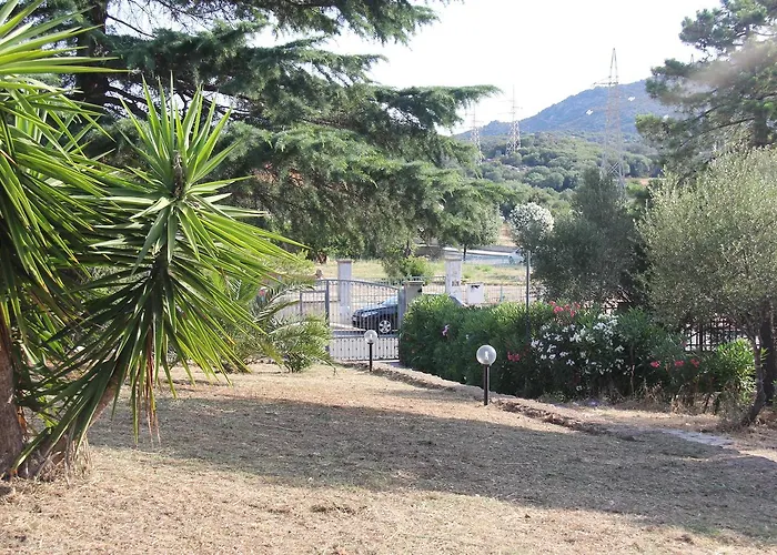 A Domo * אולביה