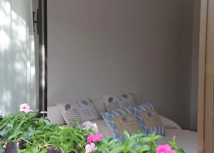 A Domo לינה וארוחת בוקר אולביה