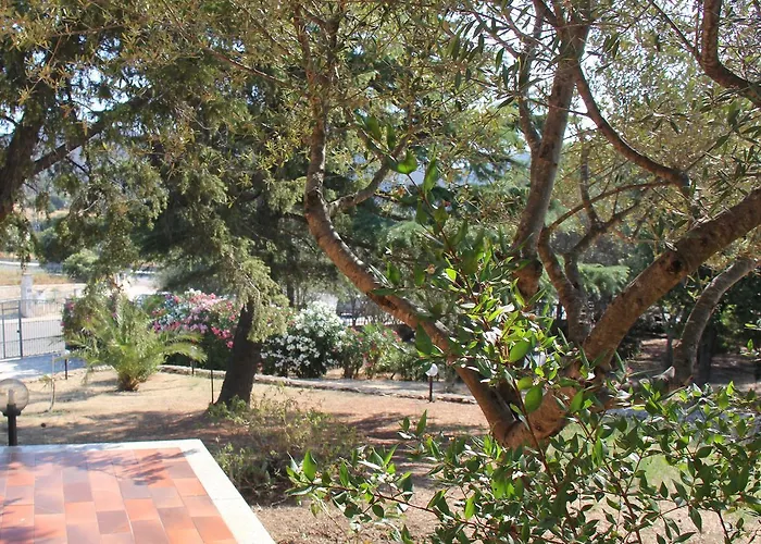 A Domo לינה וארוחת בוקר אולביה