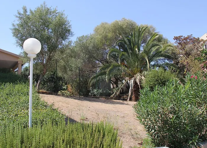 A Domo * אולביה